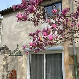 7 Rayons Avignon